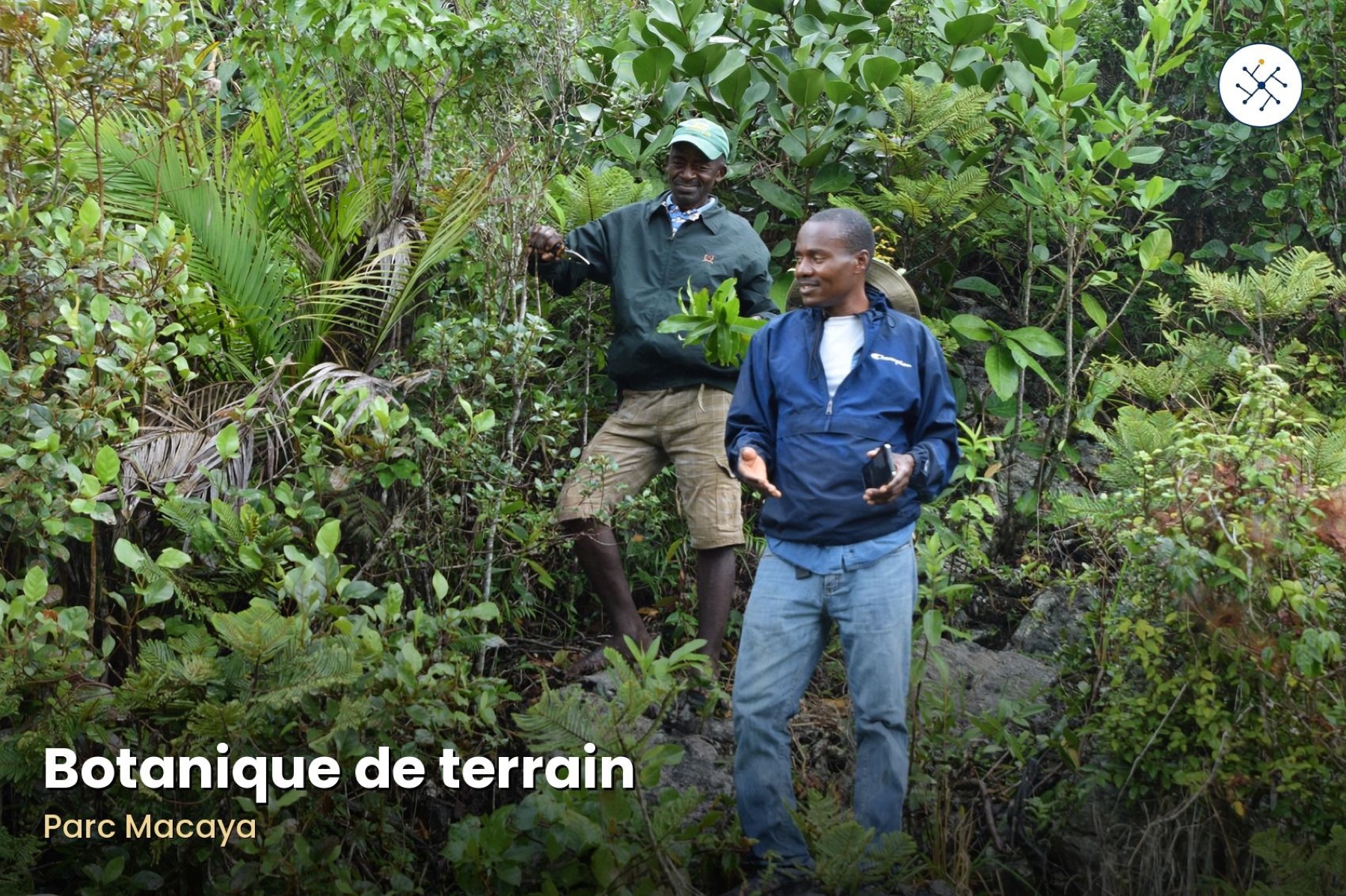 Pierre Honet: the master of field plants