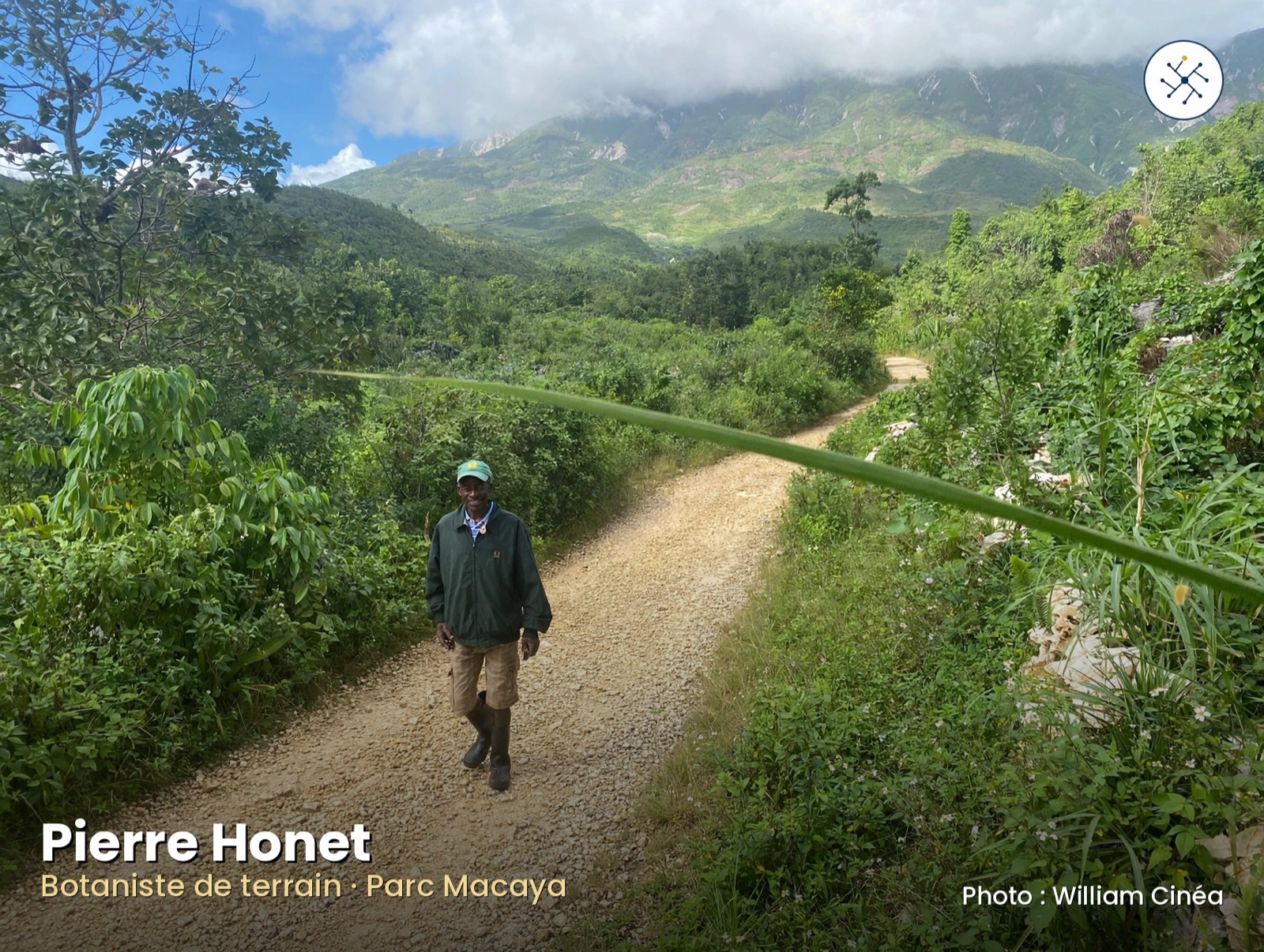 Pierre Honet, guide and master of plants in Macaya