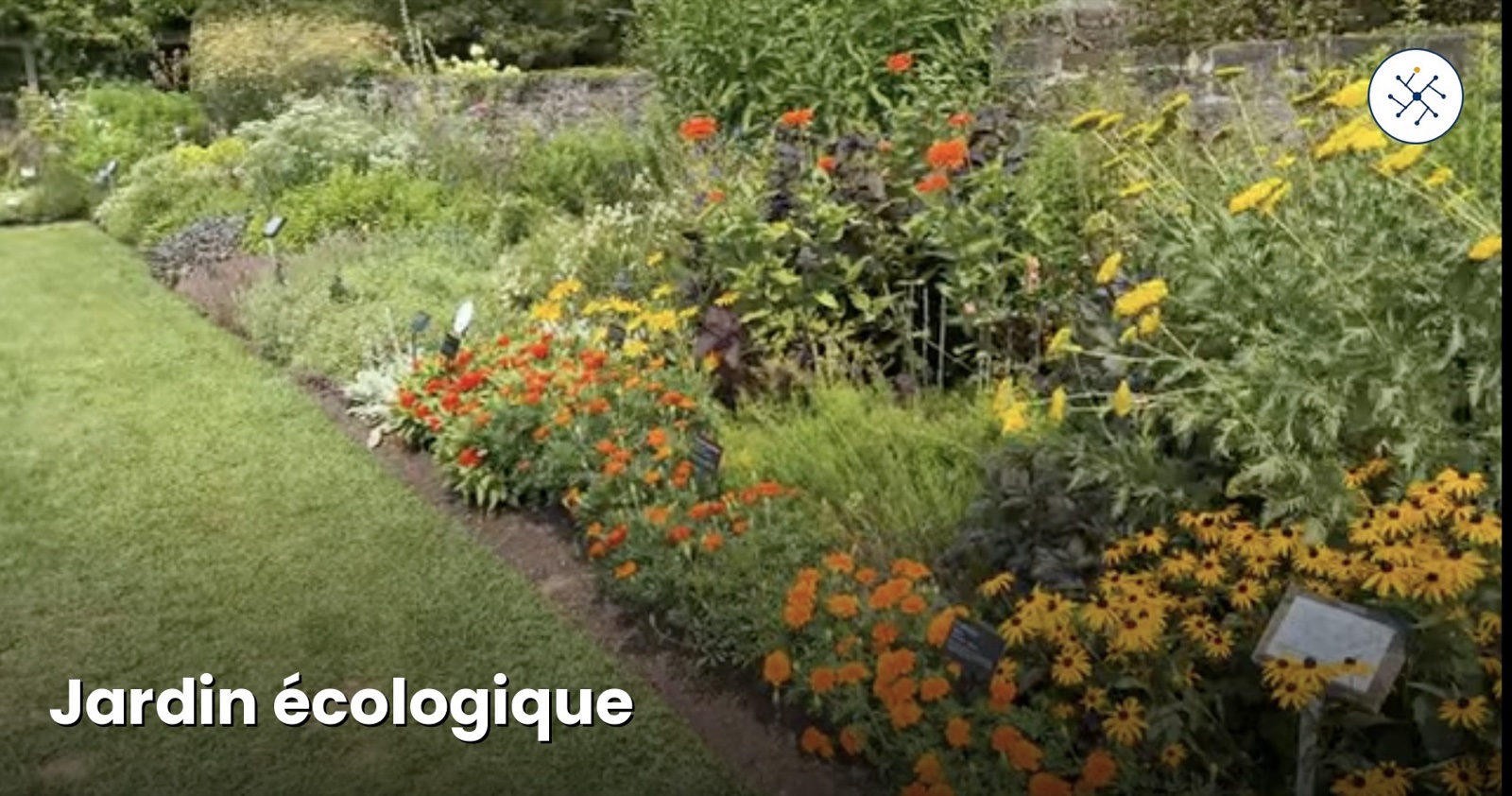 Ecological garden with nectar-rich flowers — biodiversity refuge