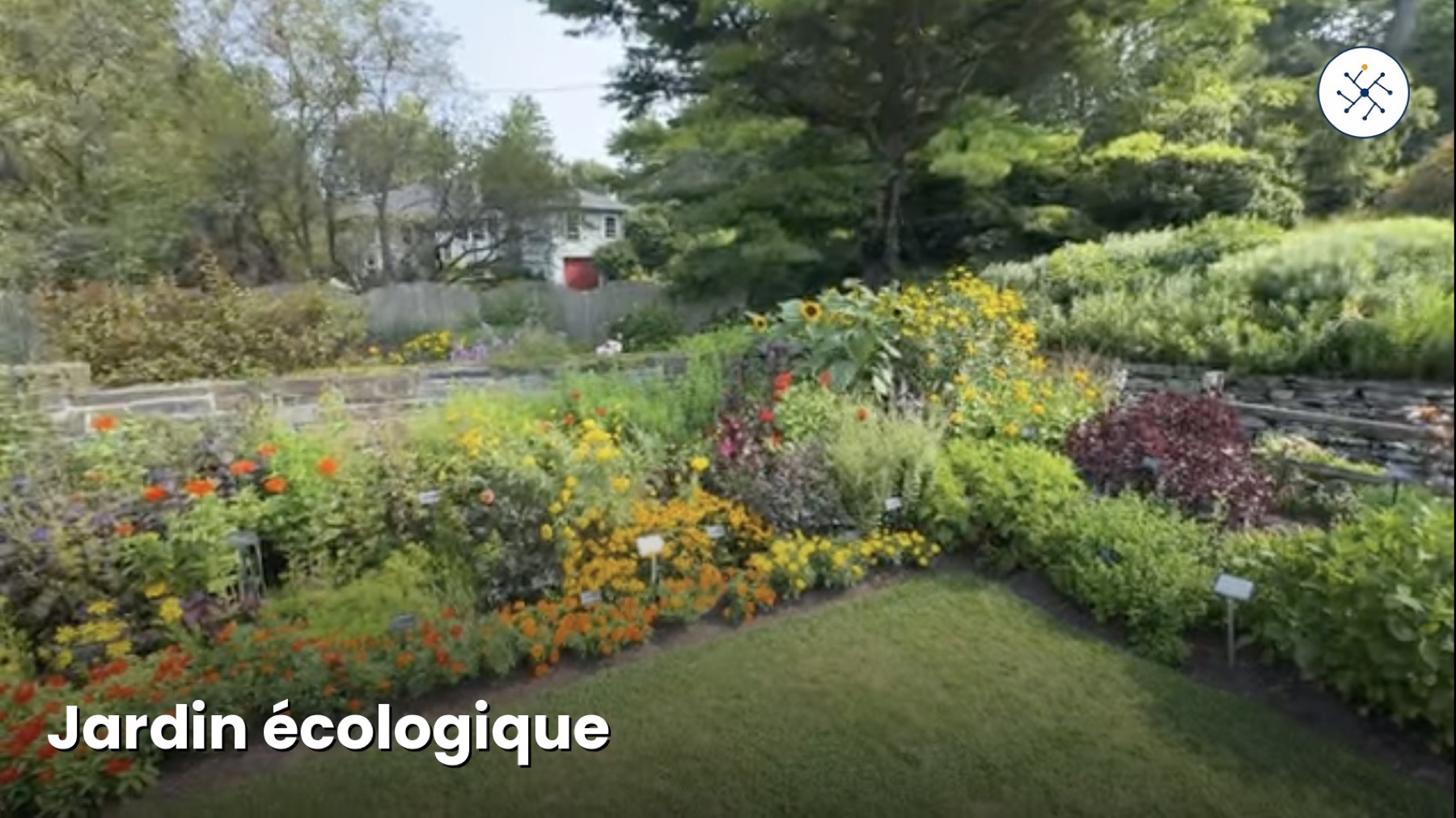 Every garden starts with a 'why': find yours