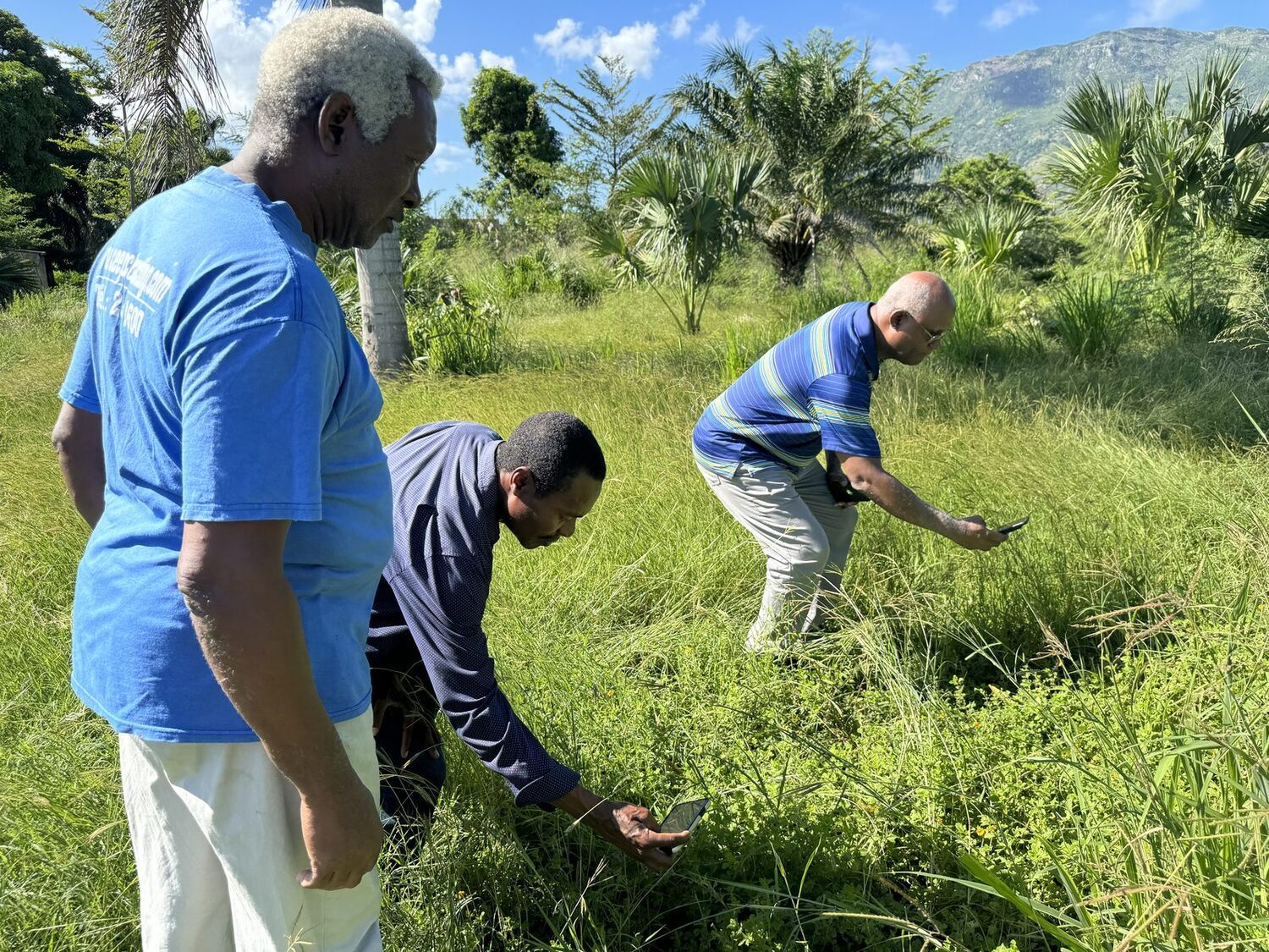 William Cinéa and Ascencio Paul observing plants in the field