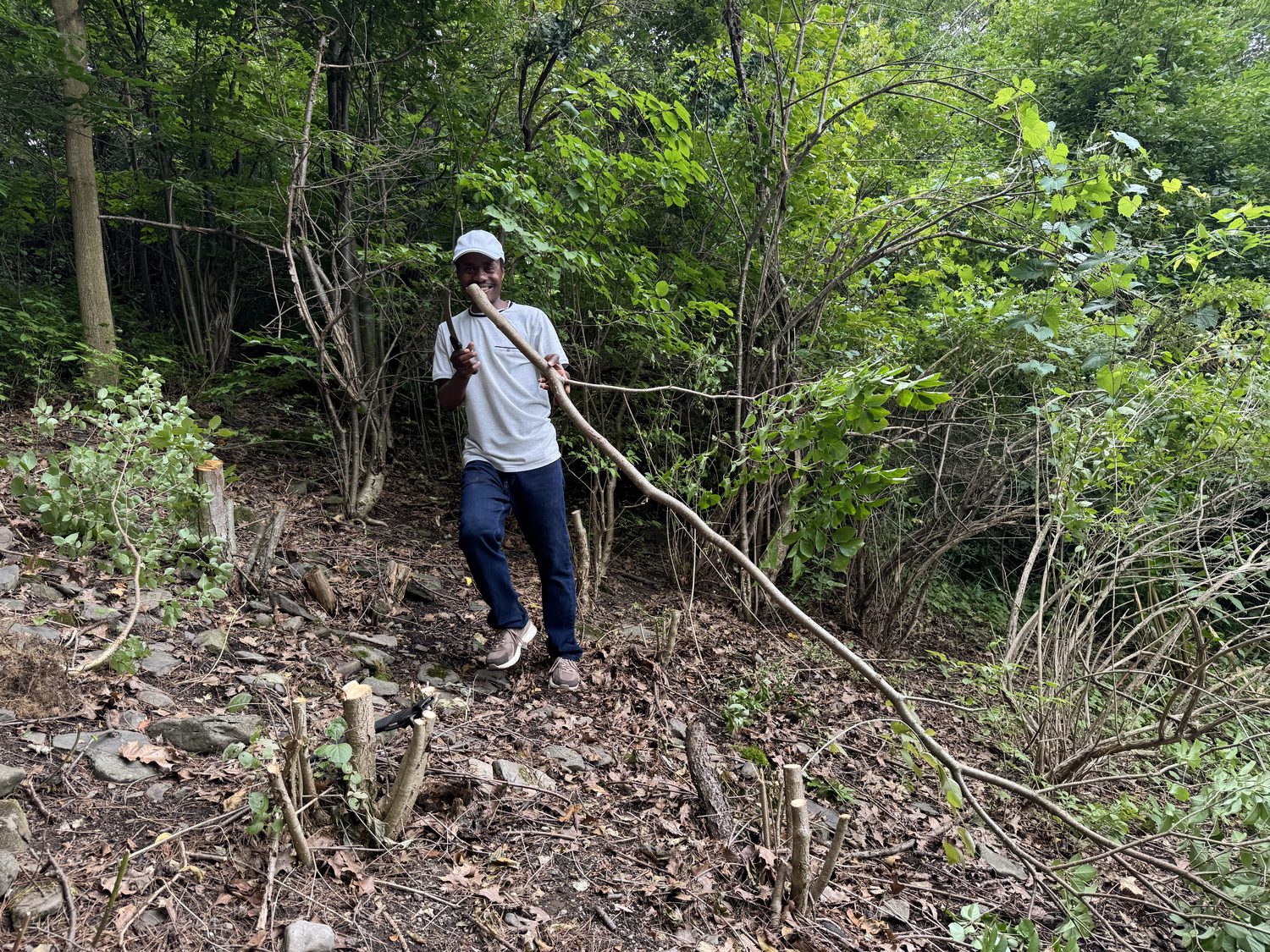 GBIF — Global Biodiversity Information Facility