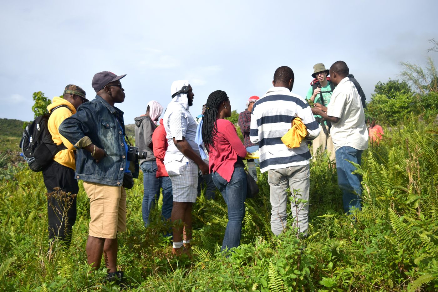Training conservationists and institutions