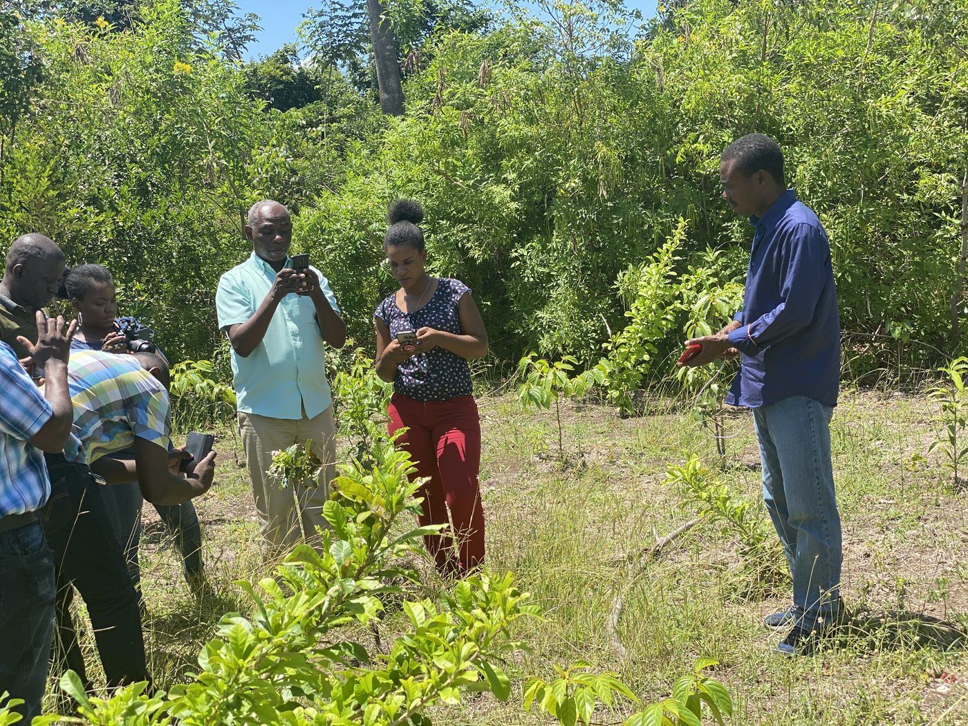 Understanding plants, beyond the name