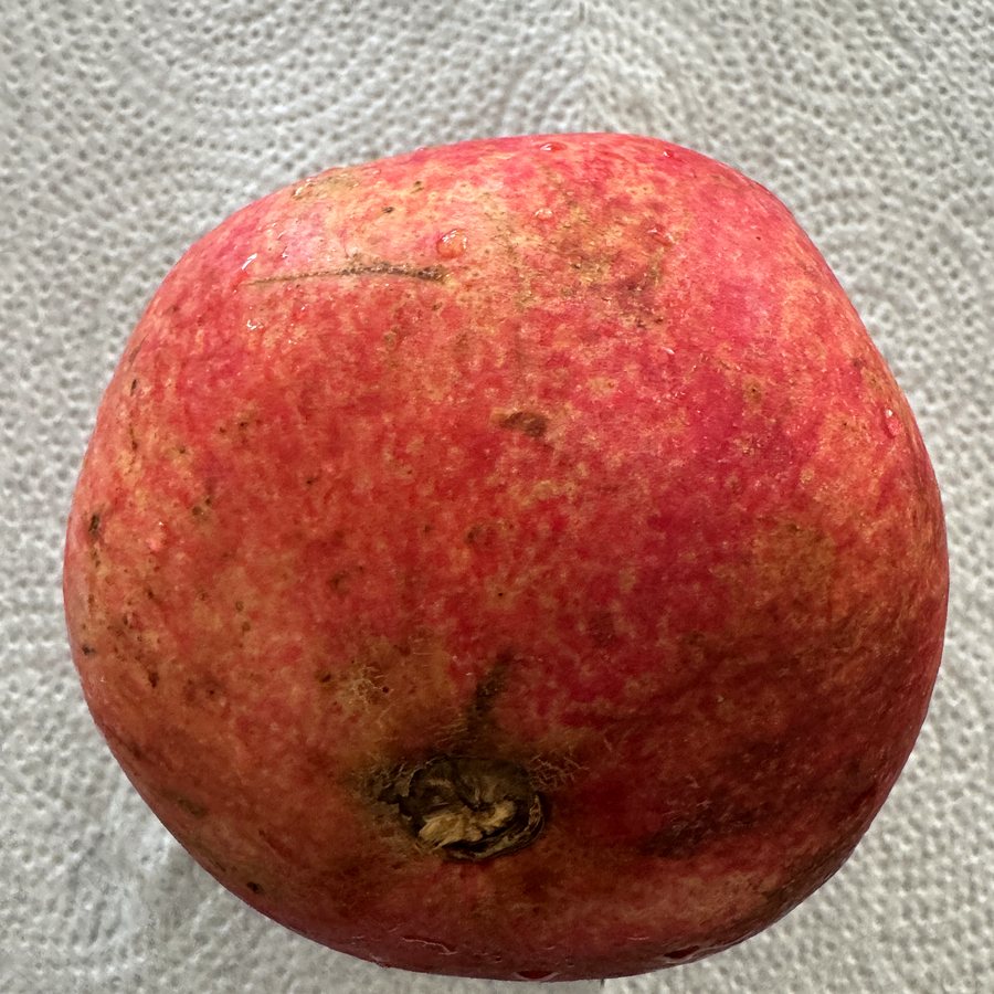 Fleshy or dry?