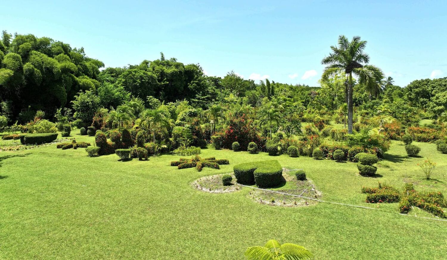 Jardin Botanique des Cayes, Haïti — panorama du jardin ornemental fondé par William Cinéa