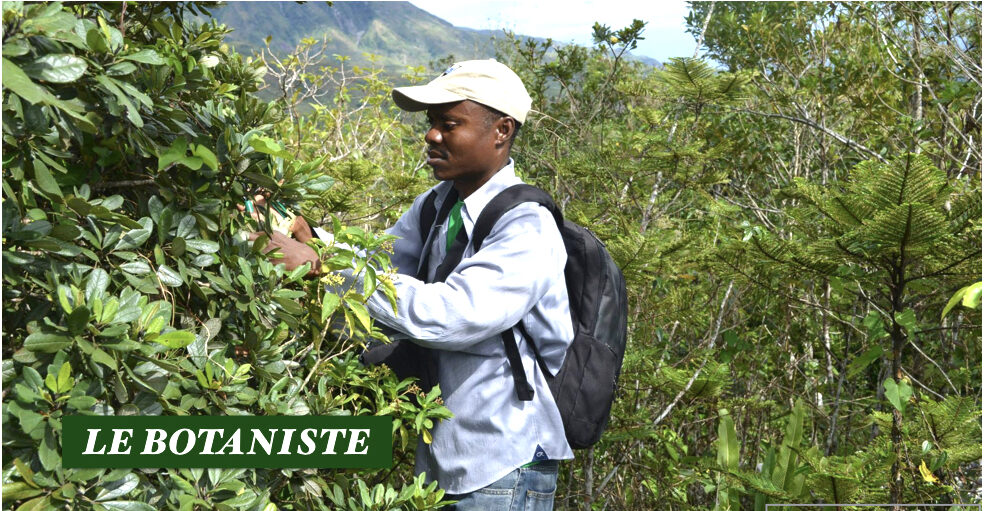 Your research deserves a life outside the PDF.